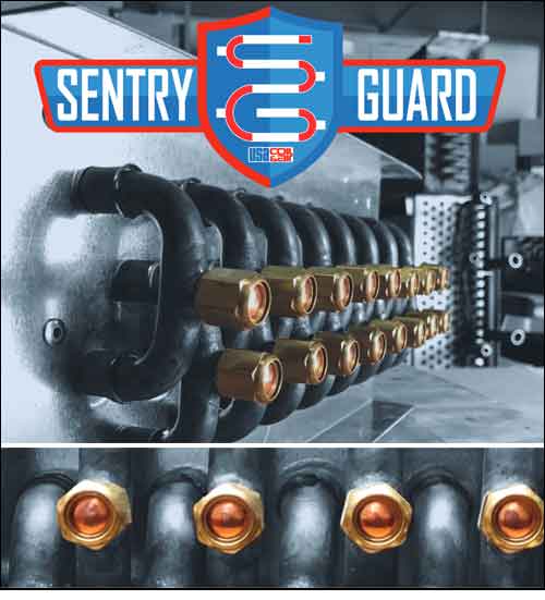 Sentryguard freeze resistant coils